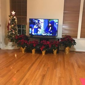 Meet your Posher, Phuong